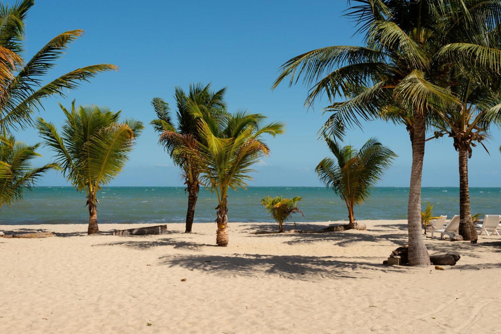 Sandy Feet Beach Resort Placencia 外观 照片